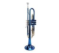 Tromba Standard in Sib per Principianti, Strumento a Tromba per Orchestra di Bande Scolastiche Studenti Principianti per Bambini Adulti, con Panno per la Pulizia, Bocchino,