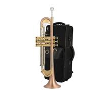 Tromba Standard Per Principianti Strumento A Tromba In Si Bemolle Test Di Valutazione Dello Strumento Tromba Strumento Professionale Per Principianti(F)