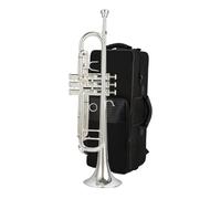 Tromba Standard Per Principianti Strumento A Tromba In Si Bemolle Test Di Valutazione Dello Strumento Tromba Strumento Professionale Per Principianti(B)