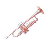 Tromba Standard Per Principianti Strumento In Ottone Strumento Per Tromba In Si Bemolle Superficie Piena Di Fosforo Strumento Per Principianti Per Adulti