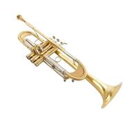 Tromba Standard Per Principianti Tromba Professionale Con Chiave SI Bemolle Placcata In Oro E Argento(Golden)