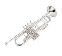 Tromba Standard Principianti Amante Della Musica Professionista Tromba D'argento Tubo Strumento Piatto Ottone