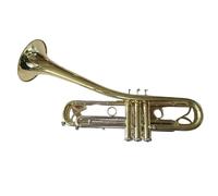 Tromba Standard Produzione Di Strumenti Professionali Per Trombe A Tromba In Ottone