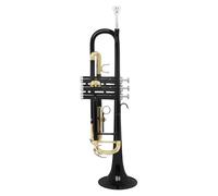 Tromba Standard Set Di Trombe Standard In Sib Nero Strumenti A Tromba Per Principianti In Ottone(Black Trumpet)