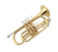 Tromba Standard Strumento A Fiato In Ottone Si Bemolle Cornetta Strumento Tromba Superficie Laccata Oro