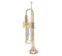 Tromba Standard Strumento A Fiato Professionale Per Principianti Tromba In Si Bemolle Placcato Argento(C)