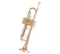 Tromba Standard Strumento A Tromba A Tre Toni In Si Bemolle Per Principianti Adulti E Performance Professionali(B)