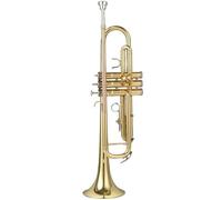 Tromba Standard Strumento A Tromba A Tre Toni In Si Bemolle Per Principianti Adulti Per Suonare Strumenti In Ottone Professionali(C)