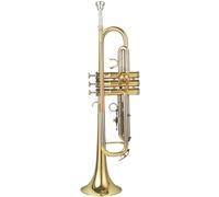 Tromba Standard Strumento A Tromba A Tre Toni In Si Bemolle Per Principianti Adulti Per Suonare Strumenti In Ottone Professionali(E)