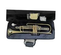 Tromba Standard Strumento A Tromba Basso In Ottone Con Tono BB Facile Da Suonare Per Professionisti Principianti