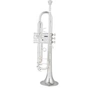 Tromba Standard Strumento A Tromba Bicolore Placcato In Argento Tromba A Tre Toni In Si Bemolle Per Principianti Per Suonare Professionalmente(B)