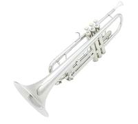 Tromba Standard Strumento A Tromba In Si Bemolle Corpo In Tubo Di Ottone Tromba In Argento Con Accessori In Tessuto Per La Pulizia Adatto Per Principianti E Adulti