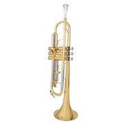 Tromba Standard Strumento A Tromba In Si Bemolle Per Principianti E Adulti Per Esercitarsi A Suonare Strumenti Professionali