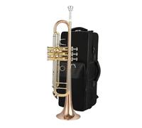 Tromba Standard Strumento A Tromba In Si Bemolle Test Di Valutazione Dello Strumento Tromba Strumento Professionale Per Principianti(E)