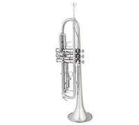Tromba Standard Strumento A Tromba Standard Professionale In Chiave SI Bemolle Livello Di Prestazione Professionale Per Gruppi Per Adulti Principianti(C)