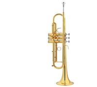 Tromba Standard Strumento A Tromba Standard Professionale In Chiave SI Bemolle Livello Di Prestazione Professionale Per Gruppi Per Adulti Principianti(G)