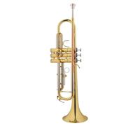 Tromba Standard Strumento A Tromba Standard Professionale In Chiave SI Bemolle Livello Di Prestazione Professionale Per Gruppi Per Adulti Principianti(D)