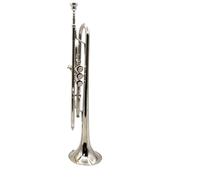 Tromba Standard Strumento In Ottone Tromba In Ottone Si Bemolle Melodia Principiante Pratica Professionale Suonare La Tromba(Silver)