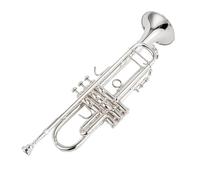 Tromba Standard Strumento Piatto Tromba in Argento Strumento Musicale in Ottone per Gli Amanti della Musica