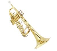 Tromba Standard Strumento Tromba In Si Bemolle Strumento Tromba Entry-level Per Principianti