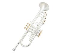 Tromba Standard Strumento Tromba Professionale Per Principianti Adulti Facile Da Suonare Originale Scatola Blu(Light green)