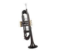 Tromba Standard TR 750 Tromba Sib Piccola In Nichel Nero Con Chiave In Oro Strumenti Musicali Professionali Con Custodia