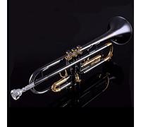 Tromba Standard Tromba Bb Tune Strumento Musicale Ottone Nero Nickel Placcato Oro Tromba B Flat Corno Con