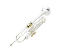 Tromba Standard Tromba Bronzo Fosforoso LT199GS-97 Si Bemolle Tromba Professionale Campana Strumenti Musicali Custodia Accessori(WHITE)