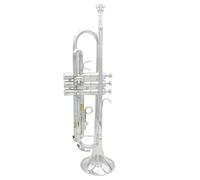 Tromba Standard Tromba Classica In Sib Si Bemolle Materiale In Ottone Tromba Placcata Argento Strumento A Fiato Professionale Con Accessori