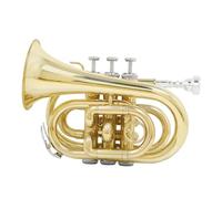 Tromba Standard Tromba In Ottone Si Bemolle Tromba In Miniatura Strumento A Fiato Tromba Cornetta Per Principianti