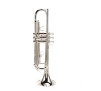 Tromba Standard Tromba In Ottone Tromba In Ottone In Si Bemolle Pratica Per Principianti Prestazioni Professionali Tromba A Tre Toni(Silver)