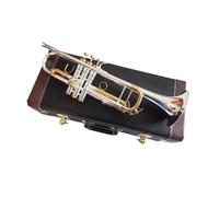 Tromba Standard Tromba In Sib Placcata Argento Si Bemolle Tromba Professionale Strumenti Musicali Ottone