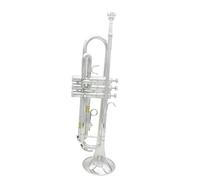 Tromba Standard Tromba In Sib Standard In Ottone Argentato Per Principianti Con Custodia Rigida E Guanti