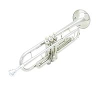 Tromba Standard Tromba In Sib Strumento In Ottone Tromba In Ottone Standard Set Per Principianti Tromba Professionale Oro Argento Con Scatola(Silver)