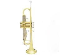 Tromba Standard Tromba Musicale Professionale In Sib B Strumento A Fiato In Materiale Piatto In Ottone Con Custodia In Tessuto Per Guanti(Gold Silver)