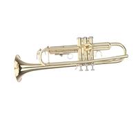 Tromba Standard Tromba Professionale Per Principianti In Sib Si Bemolle Tromba In Ottone Squisita Con Guanti Resistenti E Scatola Imbottita