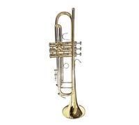 Tromba Standard Tromba Professionale Per Tromba BB Tromba Per Strumenti In Ottone Con Custodia(Gold)
