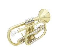 Tromba Standard Tromba Si Bemolle Tromba Cornetta Tromba Palmare Oro E Argento Mini Tromba Bicolore Tromba A Tre Tasti