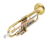 Tromba Standard Tromba Sib Flat Ottone Dorato Durevole Strumento Musicale In Ottone Con Tromba Guanti Cinghia Custodia