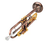 Tromba Standard Tromba Sib Si Bemolle Ottone Trompeta Squisita Durevole Trompeta Strumento Musicale Con Guanti Cinghia Custodia