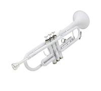 Tromba Standard Tromba Standard In Si Bemolle Tromba In Ottone Strumento Per Principianti Adulto Professionale