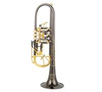 Tromba Standard Valvola Rotativa Tipo Sib Tromba Si Flat Ottone Nichel Nero Oro Strumenti Musicali Tromba Professionali Con Custodia In Pelle