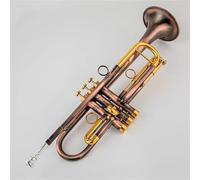 Tromba Strumenti Musicali Professionali Con Tromba In Sib Piccola Chiave Dorata Con Custodia