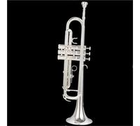 Tromba Strumento A Tromba In Si Bemolle Per Esami Di Livello Principianti E Per Suonare Strumenti A Fiato(Silver)