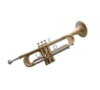 Tromba Strumento a tromba in tonalità si bemolle strumento a fiato occidentale in ottone smerigliato accentuato suonato da una band professionale