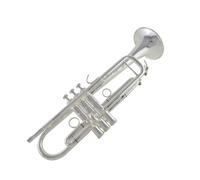 Tromba Strumento a tromba placcato in argento in si bemolle con un bocchino e una campana