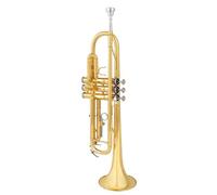 Tromba Strumento A Tromba Standard Professionale In Chiave SI Bemolle Livello Di Prestazione Professionale Per Gruppi Per Adulti Principianti(B)