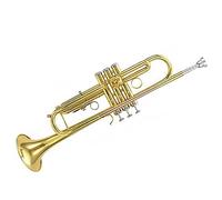 Tromba Strumento Boccaglio Professionale In Bronzo Fosforoso BB Tuning Gold Tromba Band Che Suona Strumenti Musicali