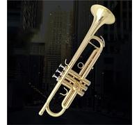 Tromba Strumento In Ottone Si Bemolle Tromba A Tre Toni Principiante Che Suona La Tromba A Tre Toni