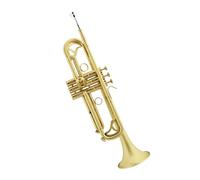 Tromba Strumento jazz tromba tromba strumento si bemolle tromba tromba opaca spazzolata